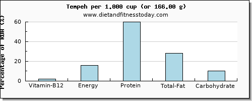 vitamin b12 and nutritional content in tempeh